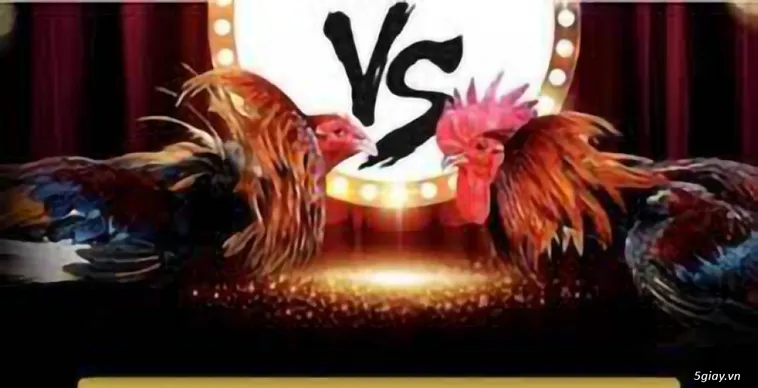 Đá Gà New88 Trực Tuyến Với Tỷ Lệ Thắng Cao Hấp Dẫn