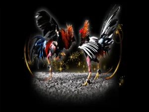 Cách Chơi Đá Gà Sabong Tại New88 Hiệu Quả Người Mới Cần Biết 3 Cách Chơi Đá Gà Sabong Tại New88 Hiệu Quả Người Mới Cần Biết