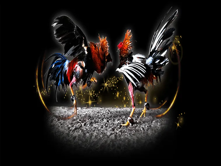 Cách Chơi Đá Gà Sabong Tại New88 Hiệu Quả Người Mới Cần Biết