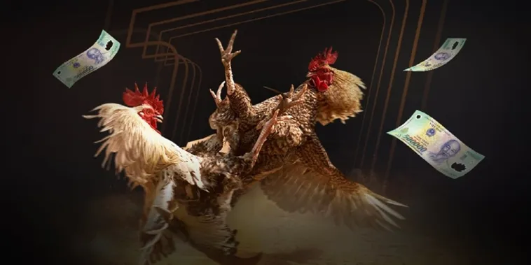 Đá Gà New88 Trực Tuyến Với Tỷ Lệ Thắng Cao Hấp Dẫn